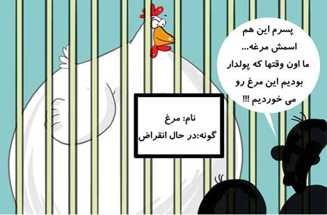 انقراض مرغ (کاریکاتور)