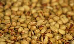 ثبات قیمت آجیل و خشکبار در استان زنجان