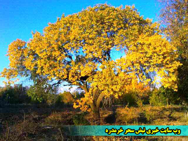 تصاویر/پاییز در جاده ی محمود آباد خرمدره