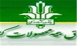پرداخت ۹۱ میلیارد ریال غرامت به محصولات باغی در زنجان