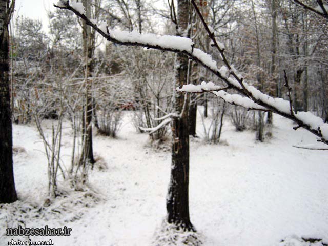 گزارش تصویری از اولین برف زمستانی در خرمدره