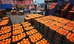 توزیع ۴۰۰ تن سیب قرمز و ۱۰۰۰ تن پرتقال در زنجان