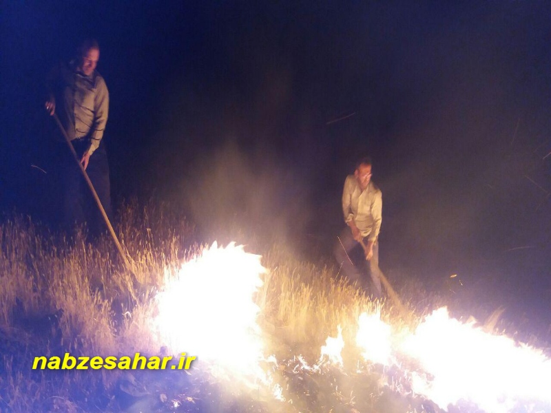 عکس/ مهار آتش سوزی در مراتع روستای ویستان