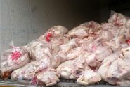 معدوم‌سازی بیش از ۳۸ هزار کیلوگرم لاشه مرغ در خرمدره