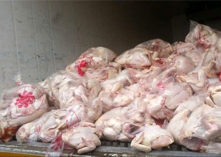معدوم‌سازی بیش از ۳۸ هزار کیلوگرم لاشه مرغ در خرمدره